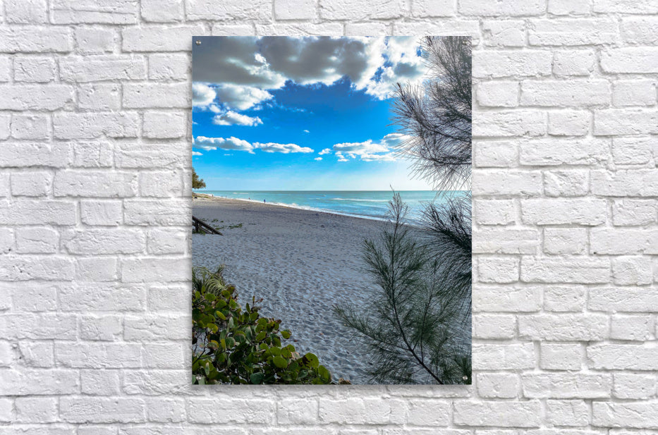 Acrylic Print