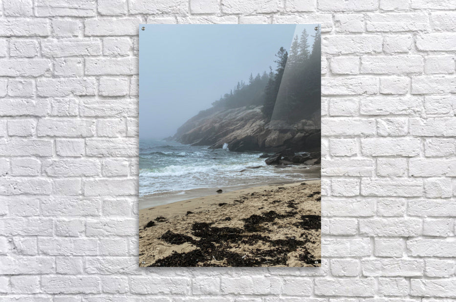 Acrylic Print