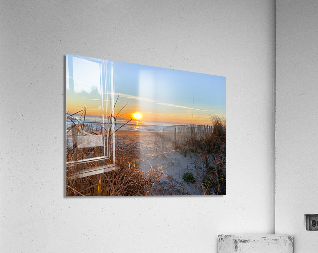 Acrylic Print