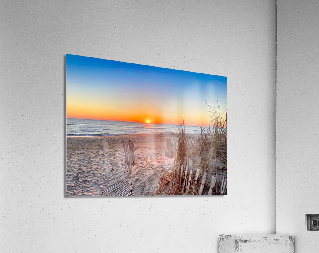 Acrylic Print