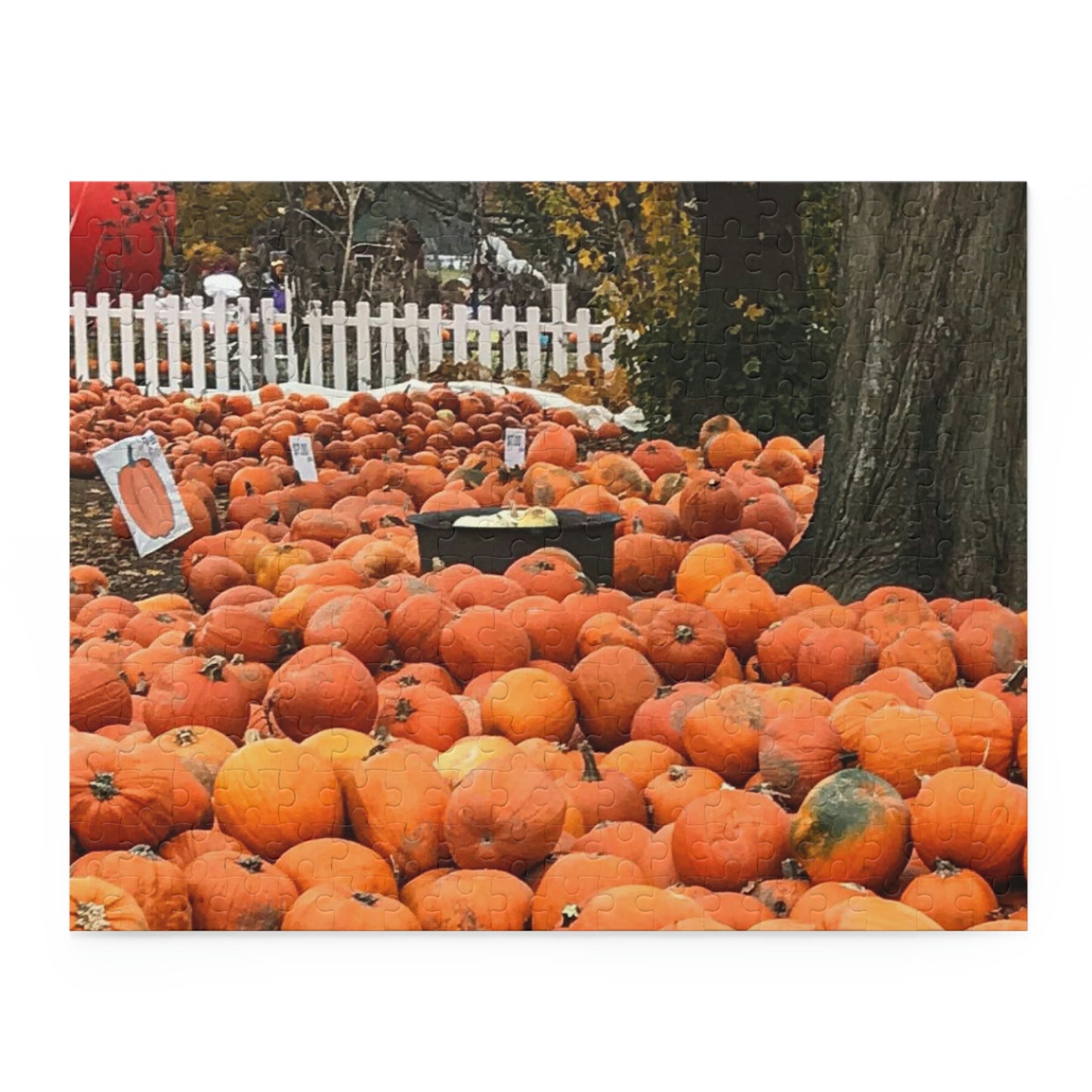 Somewhere in the Pumpkin Patch (120, 252, 500-Piece)