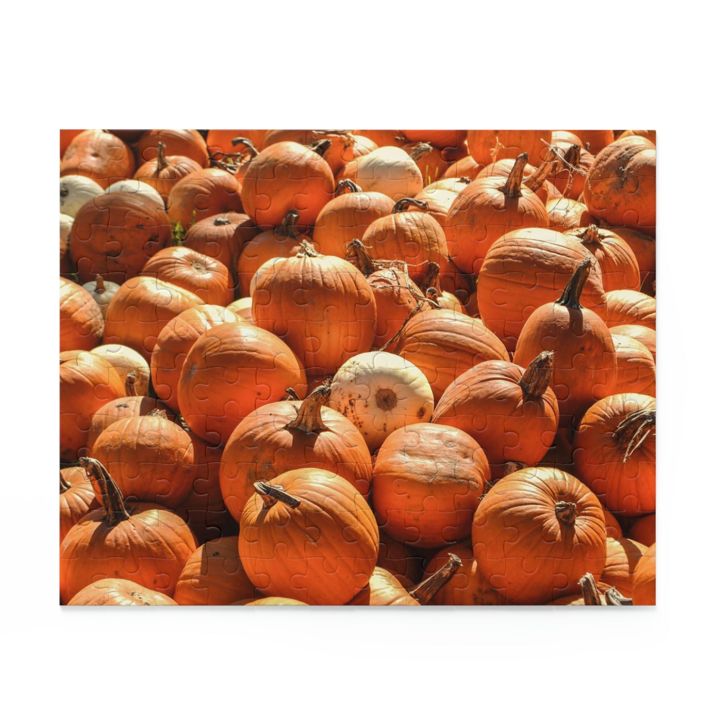 Pumpkin Piles (120, 252, 500-Piece)