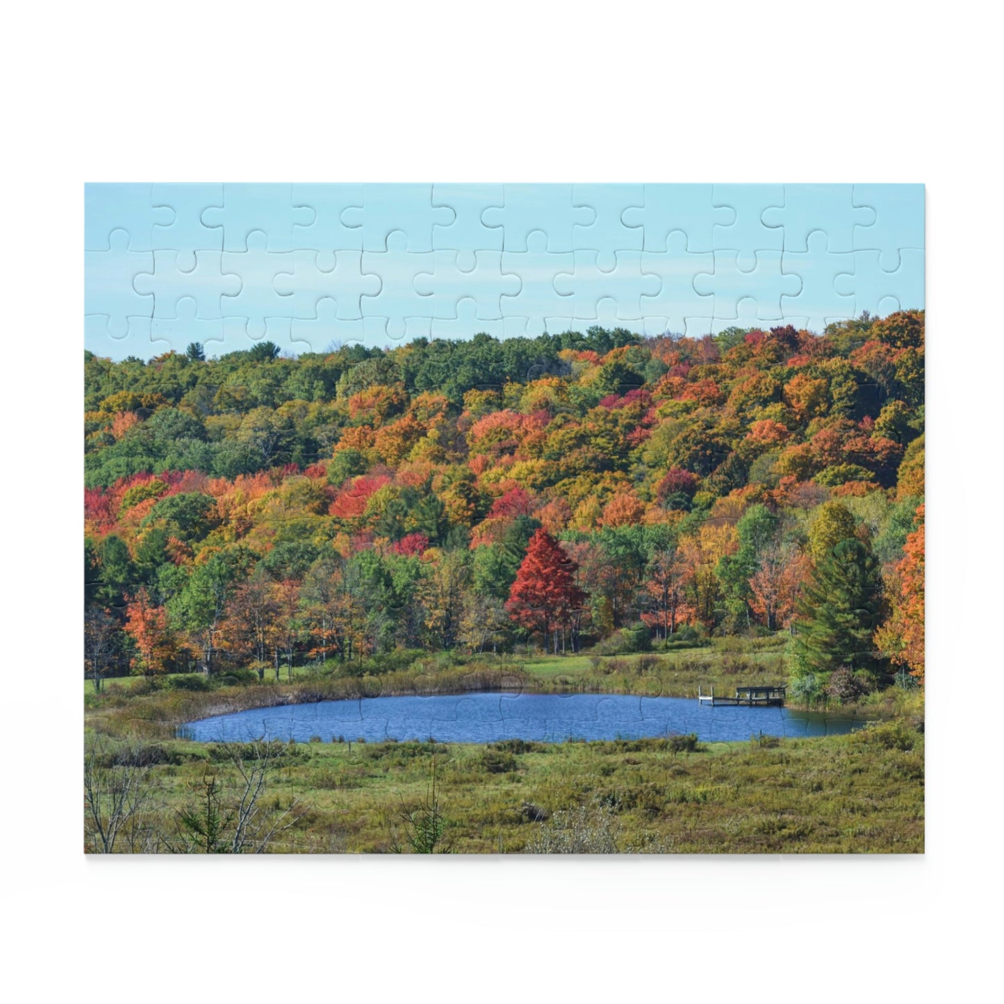 Fall in Upstate New York (120, 252, 500-Piece)