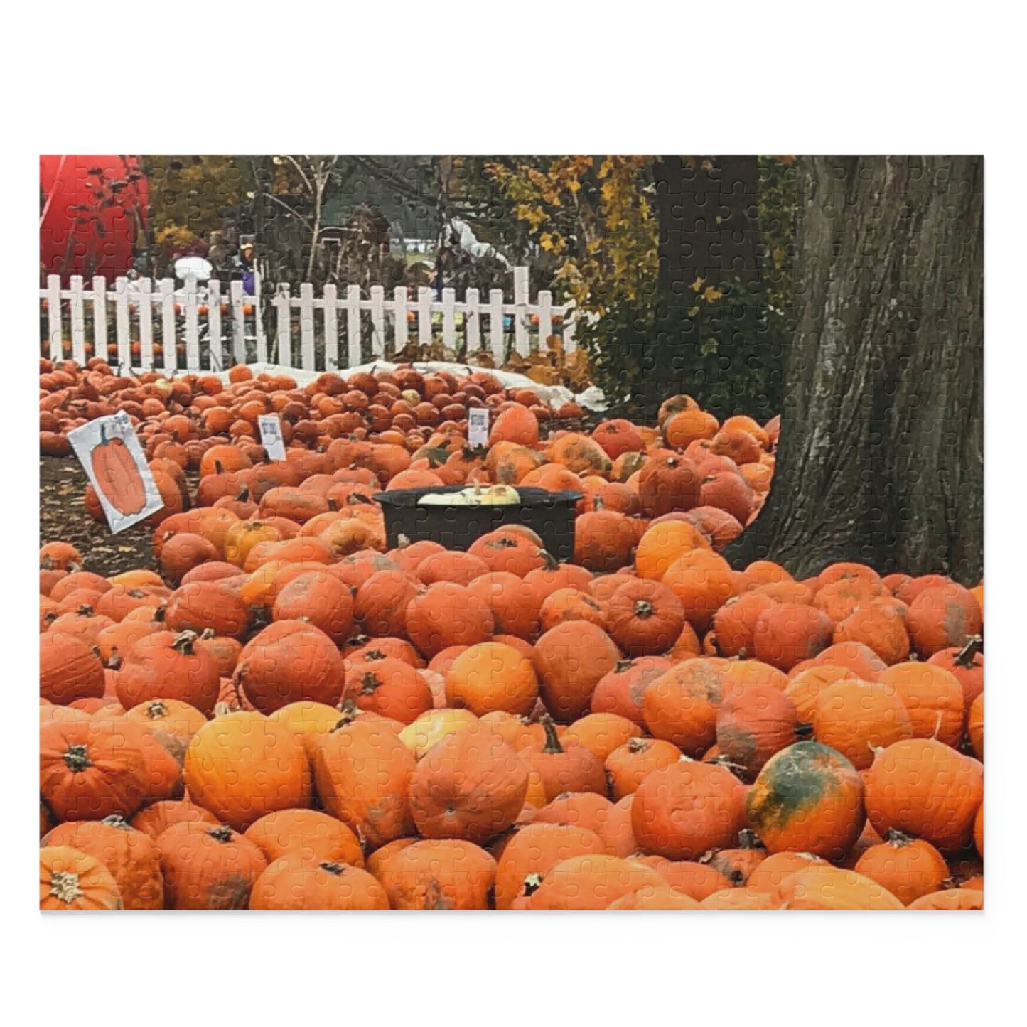 Somewhere in the Pumpkin Patch (120, 252, 500-Piece)