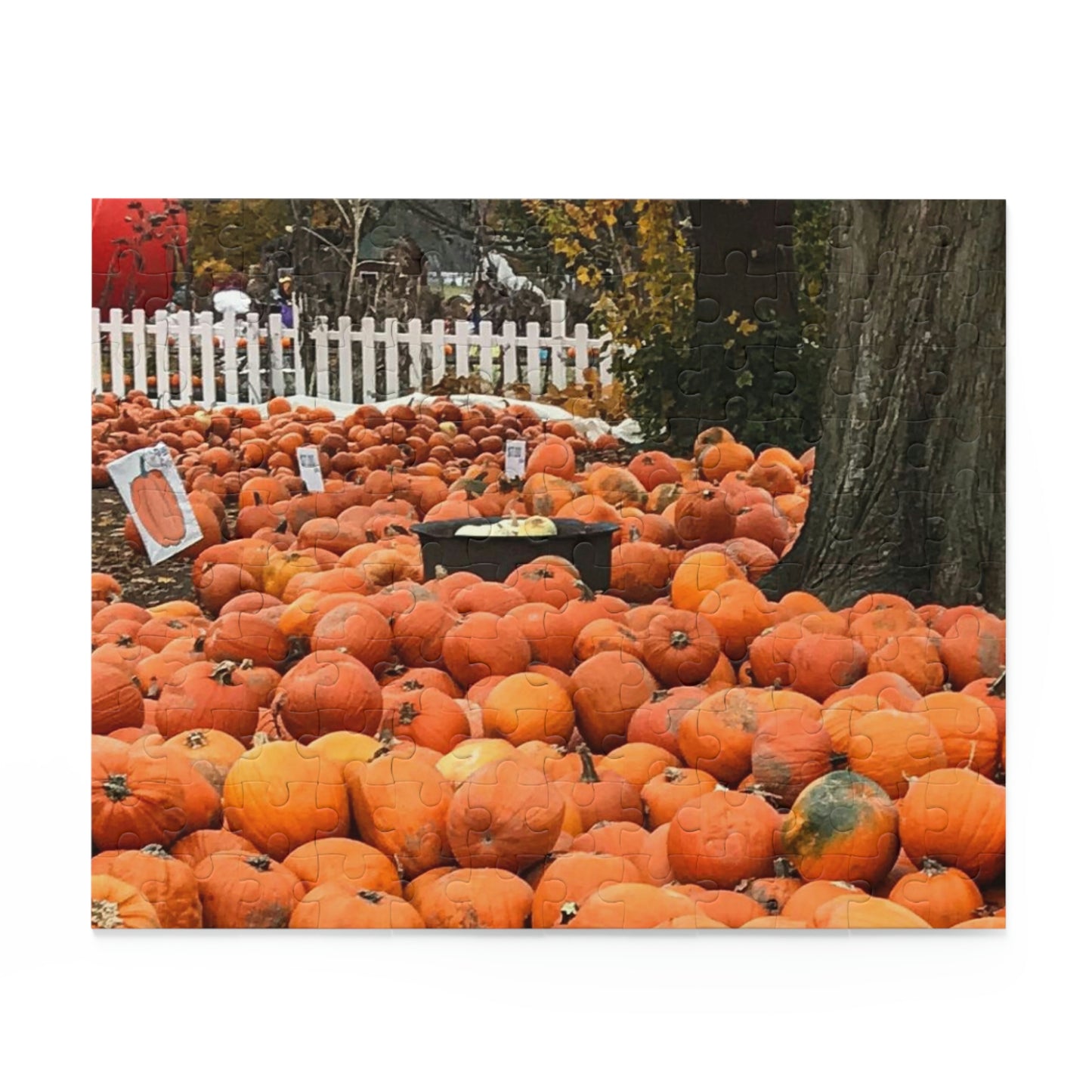 Somewhere in the Pumpkin Patch (120, 252, 500-Piece)