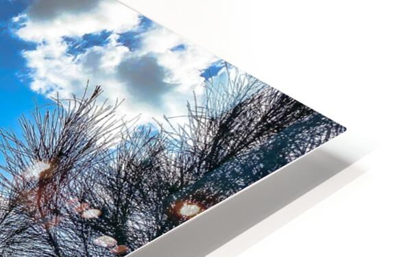 HD Sublimation Metal Print